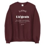 "Liégeois... Dieu vivant" Sweatshirt – Image 8