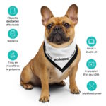 "#LIÉGEOIS" - Bandana – Image 7
