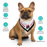 "Lîdje Power" - Bandana – Image 5