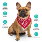 "Liégeoiseries" - Bandana – Image 7