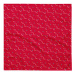 "Petit liégeois d'amour" - Bandana