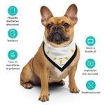 "P'tit poyon" - Bandana – Image 6