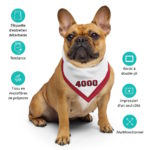 "Classic - 4000" - Bandana – Image 7