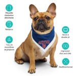 "Classic - 4000 Blason" - Bandana – Image 7