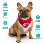 "Classic - Liège" - Bandana – Image 7