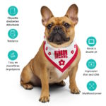 "POP - Bièsse" - Bandana – Image 7