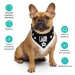 "POP - Lîdje" - Bandana – Image 6