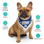 "POP - Liégeoise" - Bandana – Image 7