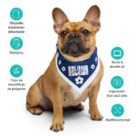 "POP - RSTKWR" - Bandana – Image 7