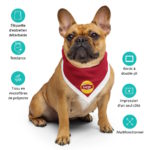 "Liège – Lipton" - Bandana – Image 7